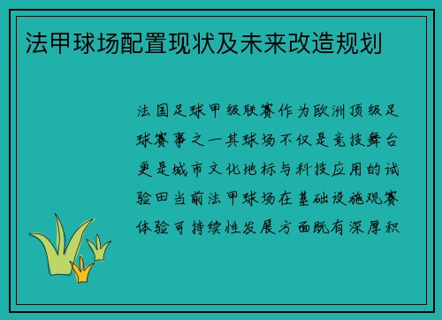 法甲球场配置现状及未来改造规划