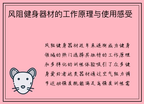风阻健身器材的工作原理与使用感受